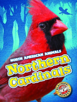 cover image of Northern Cardinals